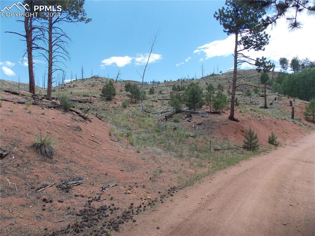 Caption: On Crooked Trail Rd looking at the lot