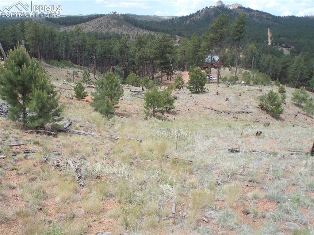 Image 11 of 19: Highest build site with "possible view" of Pine Lake with 2 story build pla