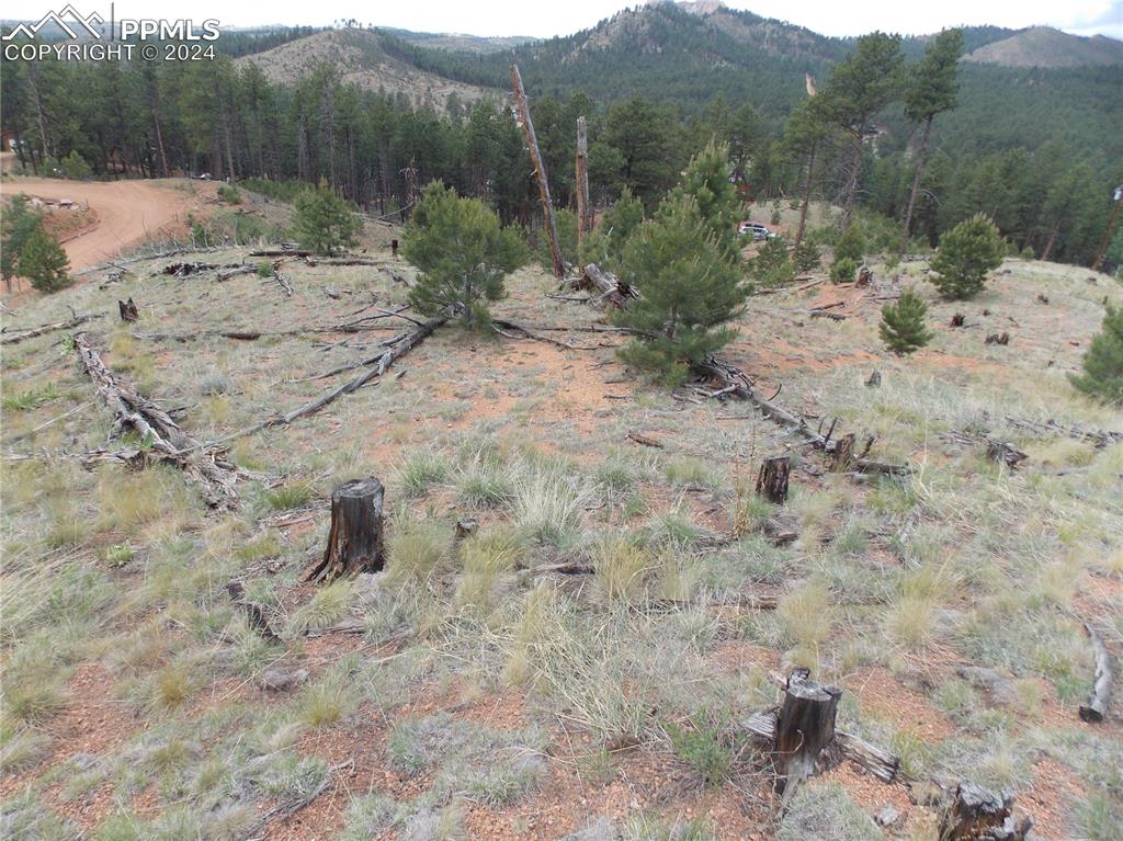 Image 14 of 19: View