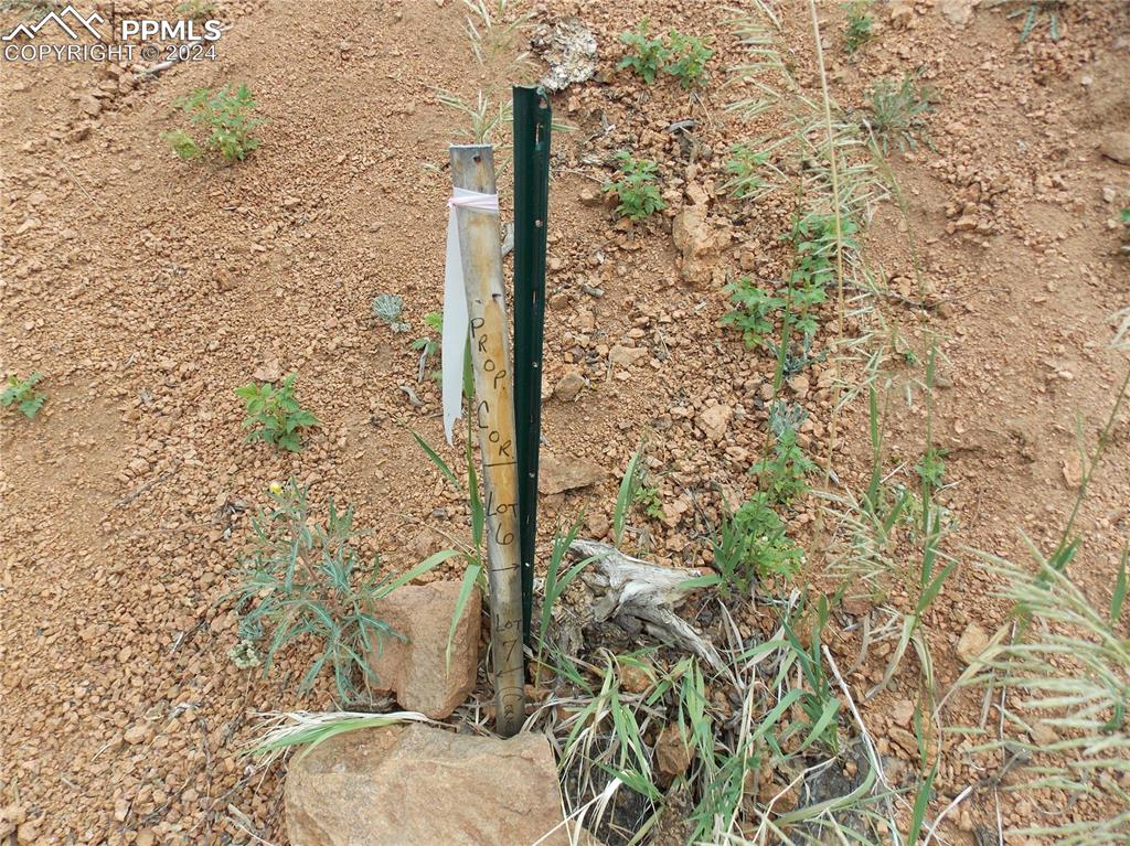 Image 16 of 19: SouthEast corner located next to Crooked Trail Rd