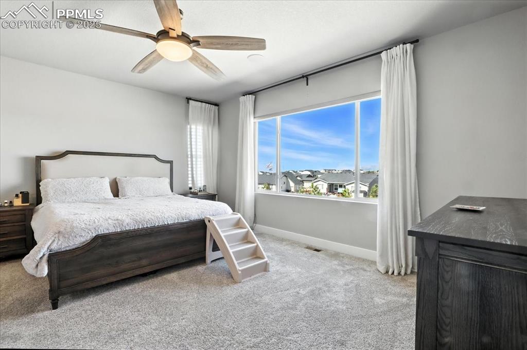 Image 16 of 50: Carpeted bedroom featuring multiple windows, a ceiling fan, and a residenti