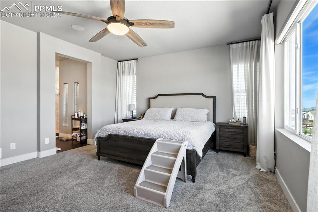 Image 17 of 50: Carpeted bedroom with baseboards and a ceiling fan