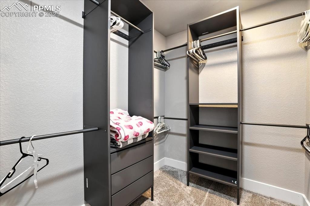 Image 30 of 50: Walk in closet with carpet