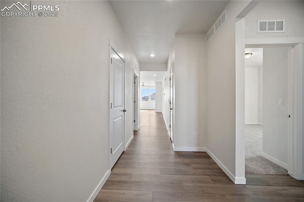 Image 4 of 38: Other