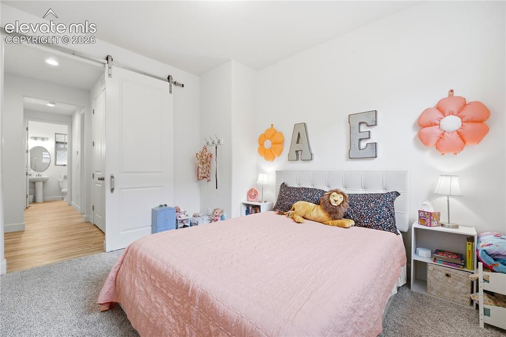 Image 27 of 50: Spacious room featuring a sliding barn door, plush carpeting, and a neutral
