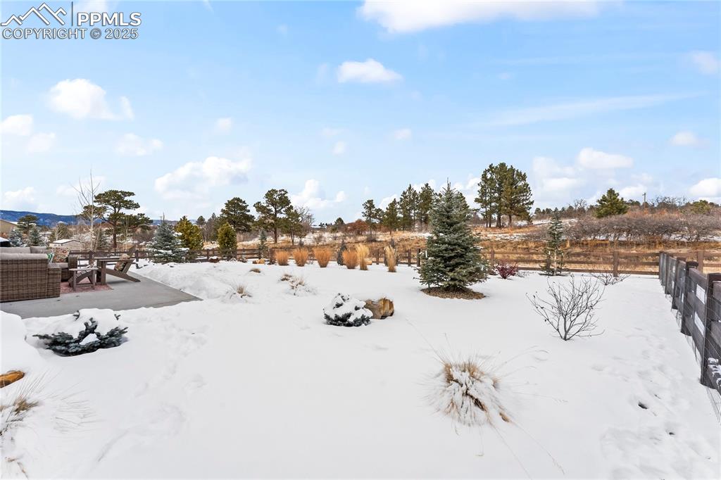 Image 41 of 48: Yard