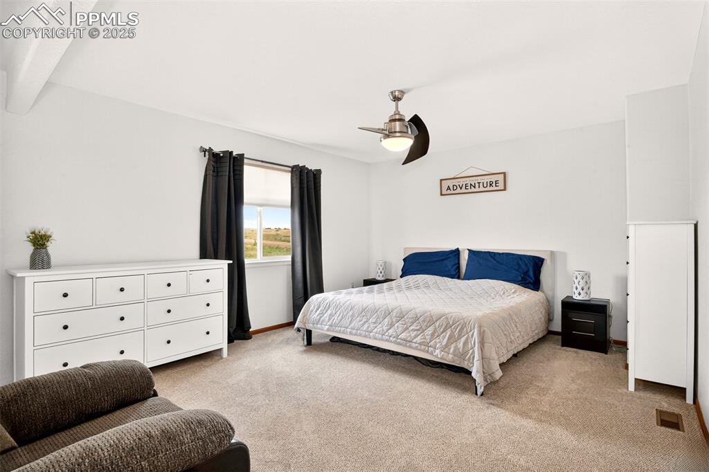 Image 13 of 40: Bedroom with carpet and ceiling fan Sitting Area, Large Window and walk in