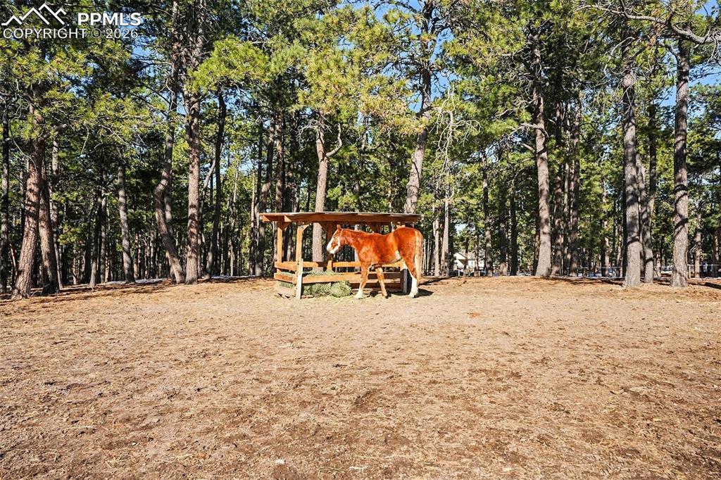 Image 38 of 50: Other