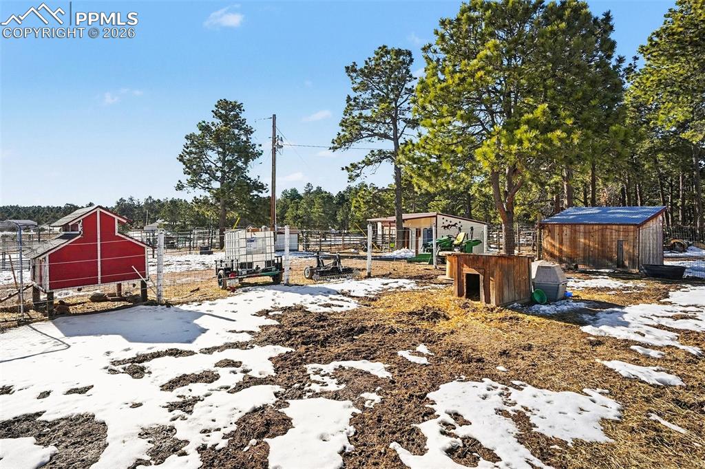 Image 39 of 50: Yard