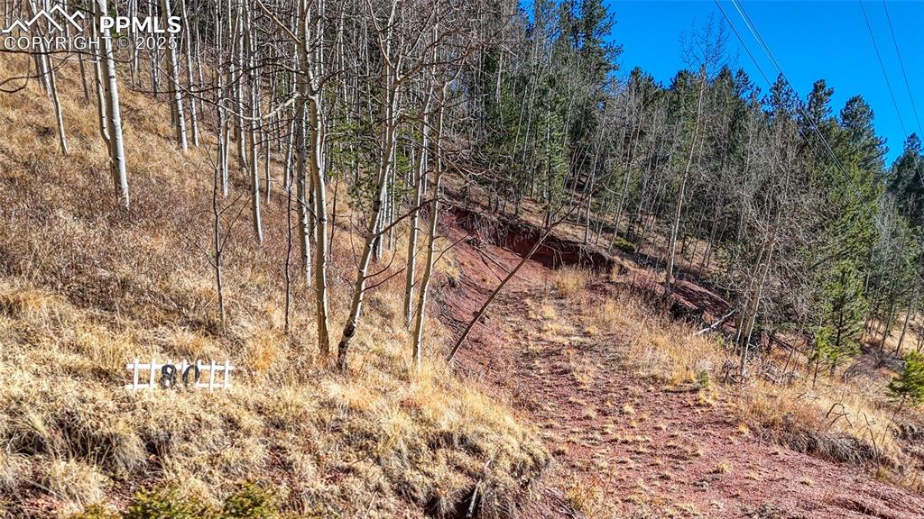 Image 17 of 27: Other