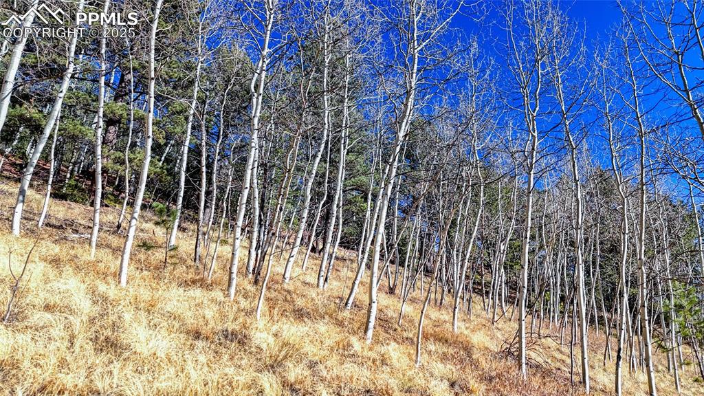 Image 19 of 27: Other