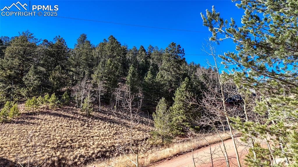 Image 26 of 27: Other