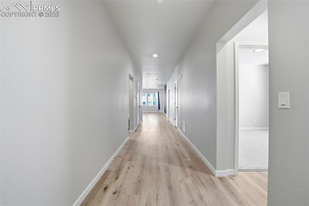 Image 20 of 50: Other