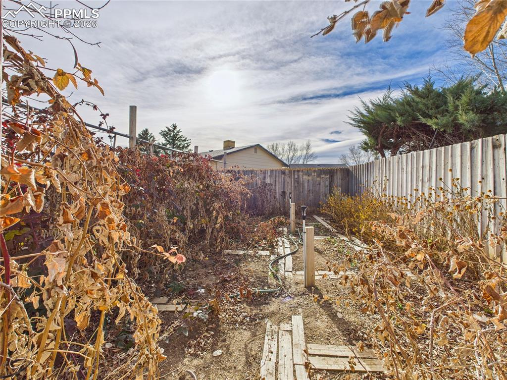 Image 38 of 42: Yard