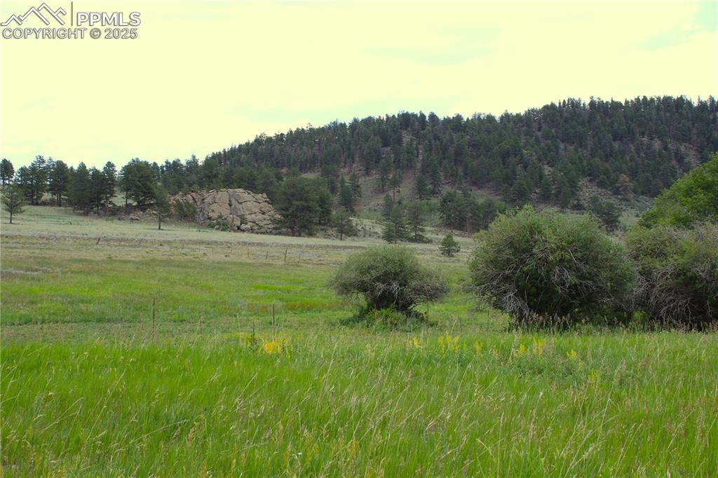 Image 10 of 28: View of wooded area with a view of countryside