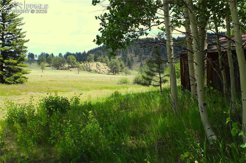 Image 12 of 28: View of tree filled area featuring a view of countryside