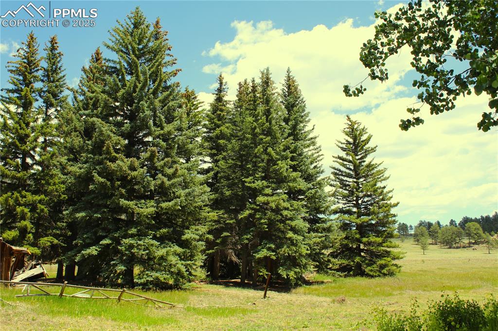 Image 13 of 28: View of yard