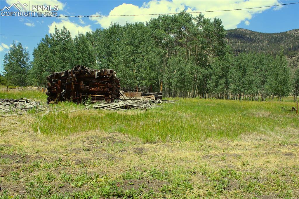Image 14 of 28: View of yard featuring a view of trees