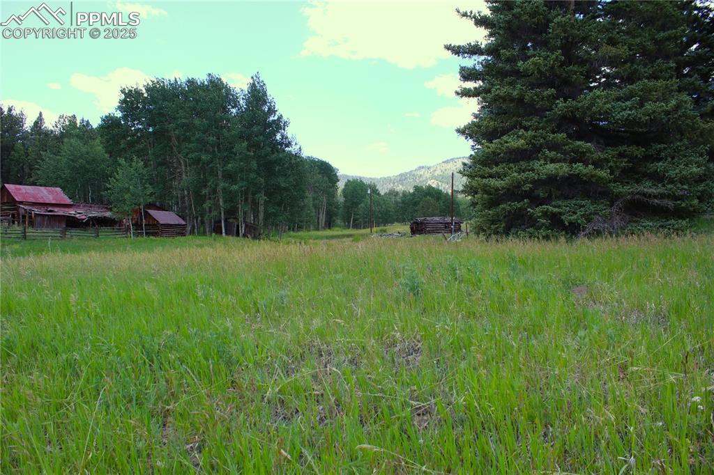 Image 6 of 28: View of yard featuring a mountain view and a forest view