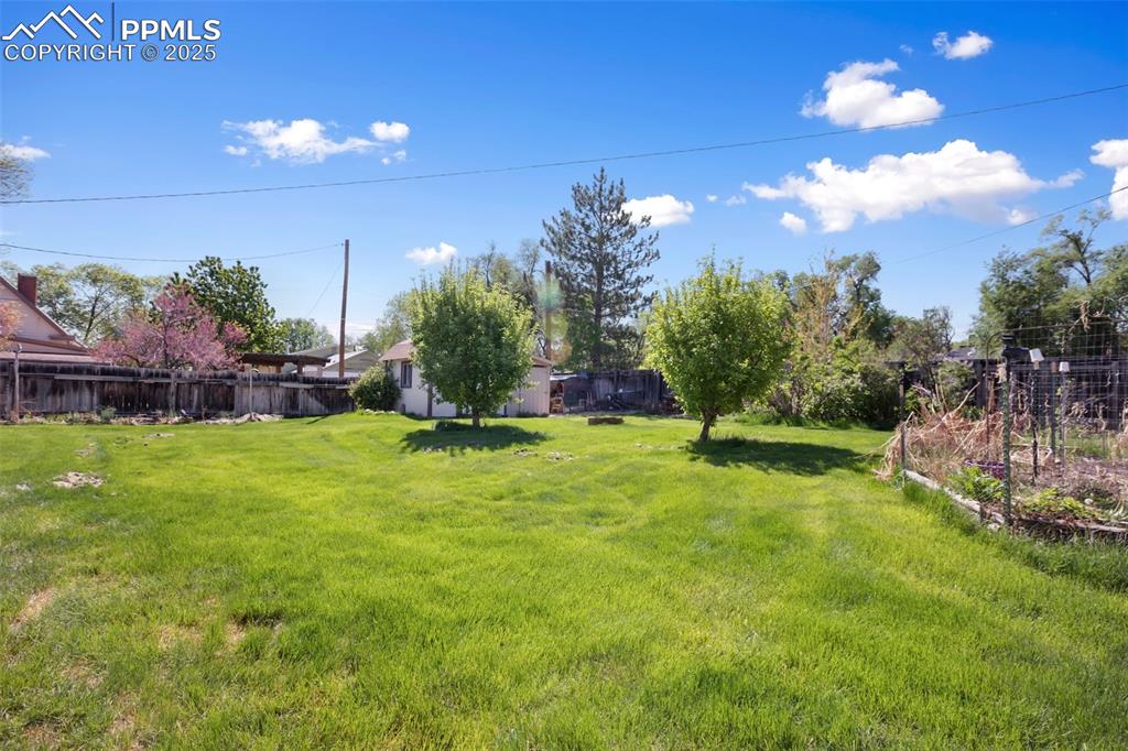 Image 4 of 36: Yard