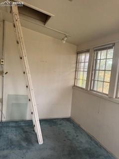 Image 11 of 50: Upper sunroom roof access.