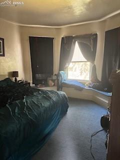 Image 34 of 50: Bedroom featuring carpet floors