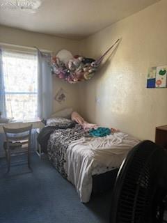 Image 35 of 50: Bedroom featuring dark colored carpet