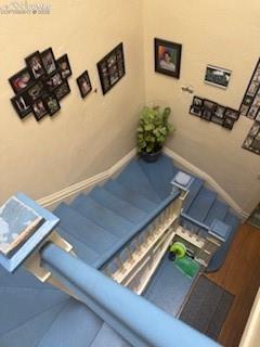 Image 36 of 50: Other