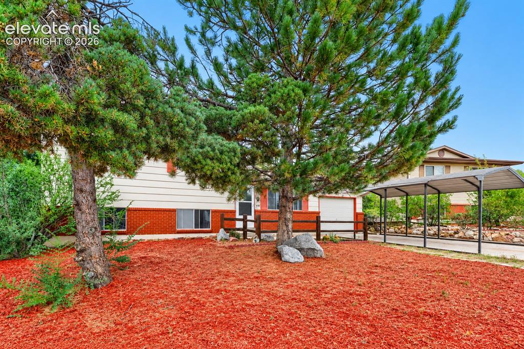 Caption: Landscaped front yard with red mulch, mature evergreen trees, and decorative rocks