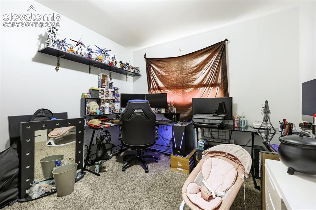 Image 16 of 26: Recessed lighting, wall-mounted shelving, and carpeted flooring