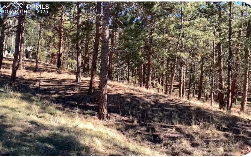 Image 13 of 36: Other