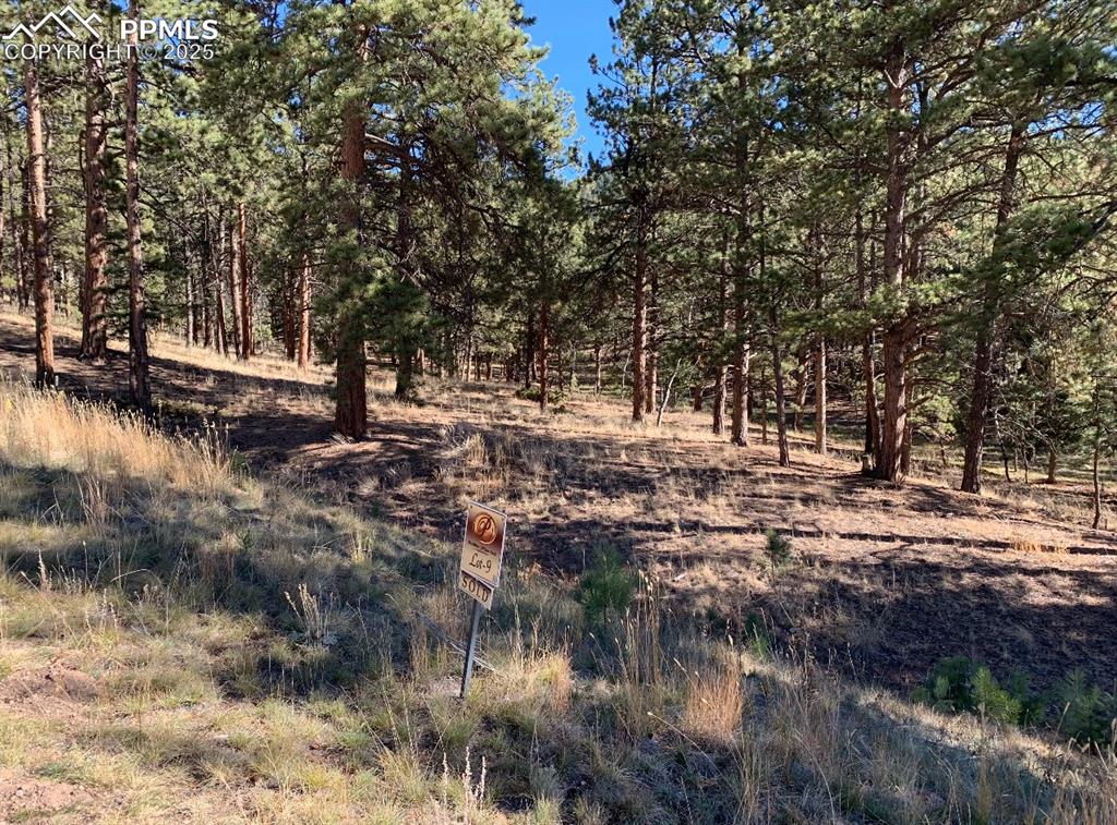 Image 15 of 36: Other