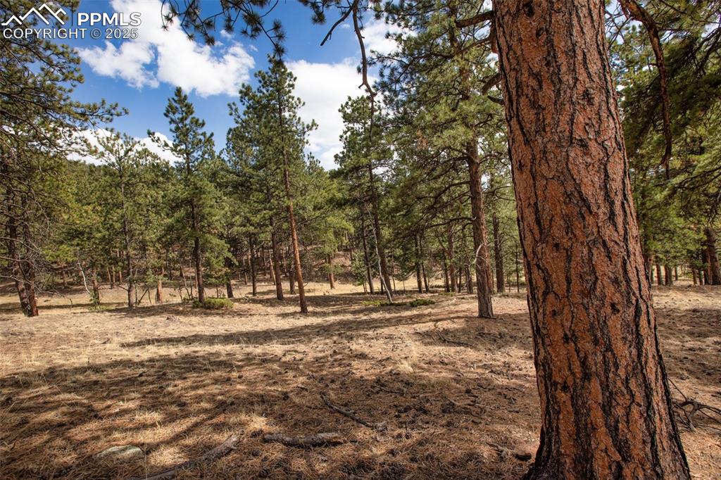 Image 16 of 36: Other