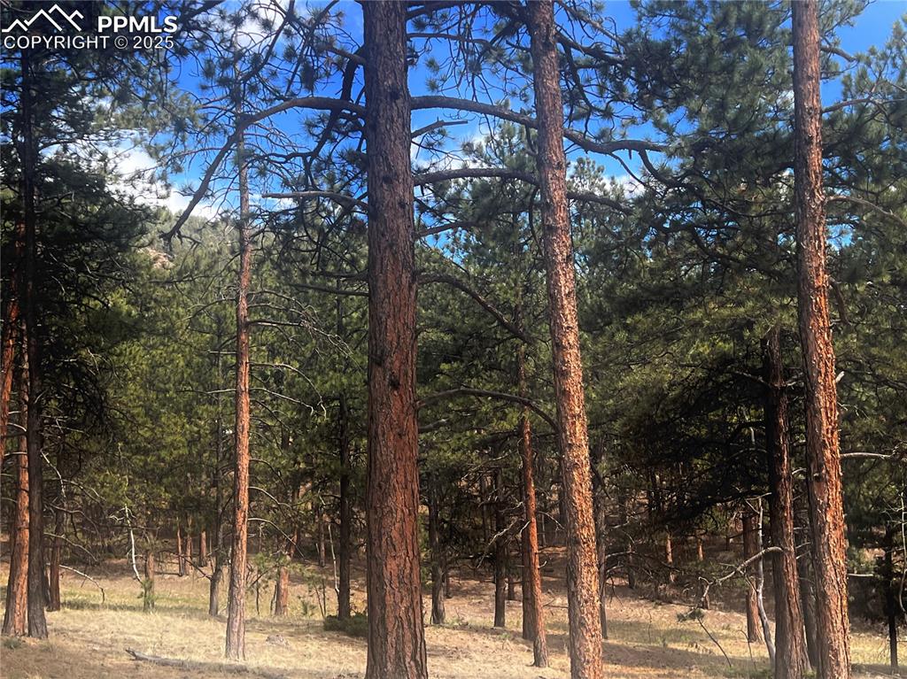 Image 17 of 36: Other