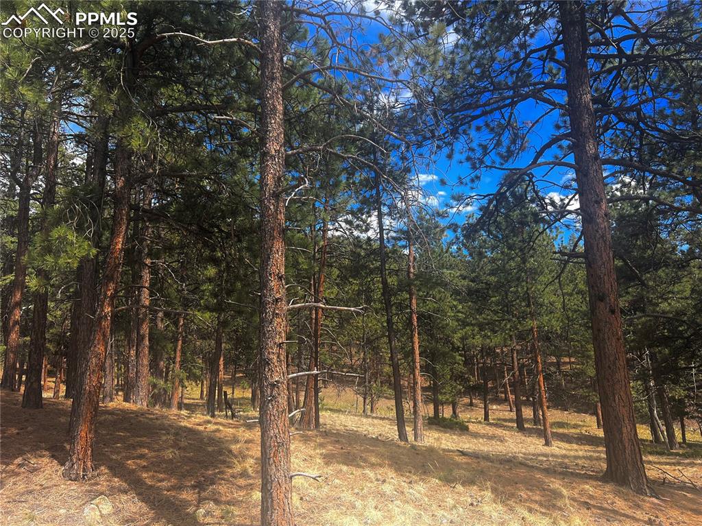 Image 18 of 36: Other