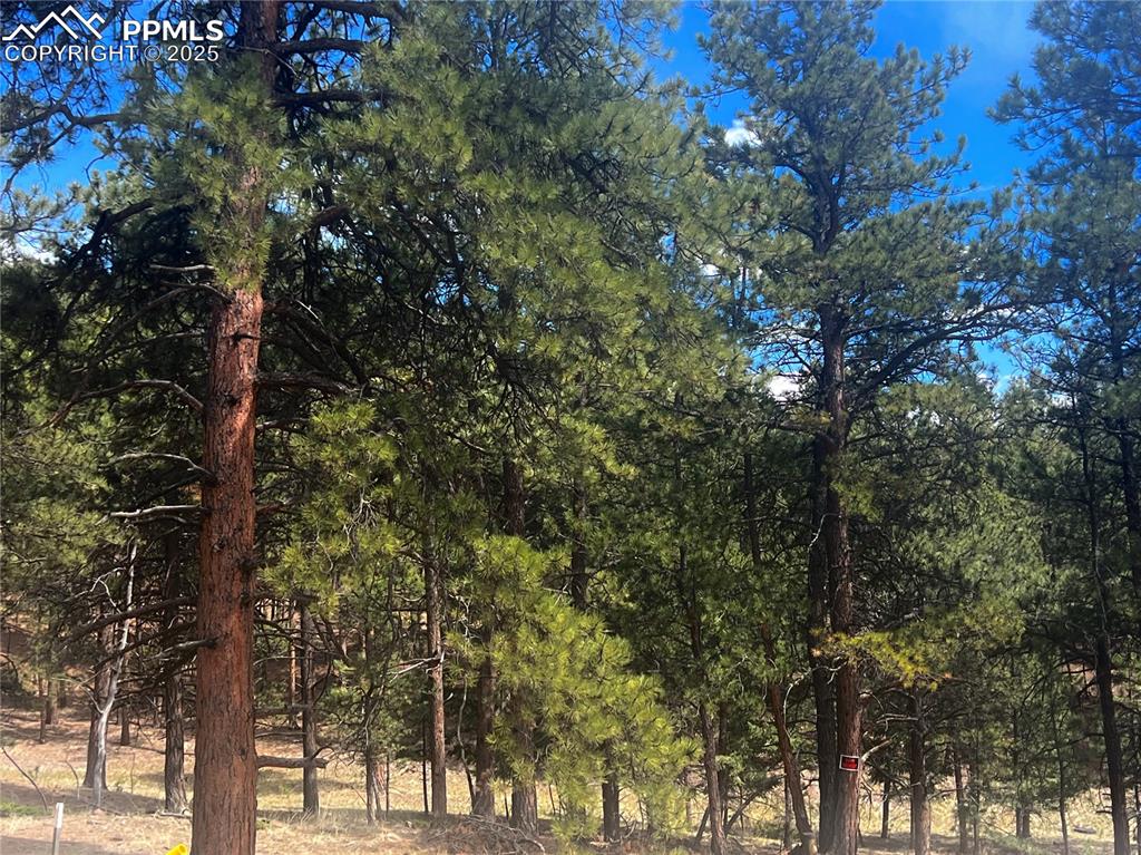 Image 19 of 36: Other