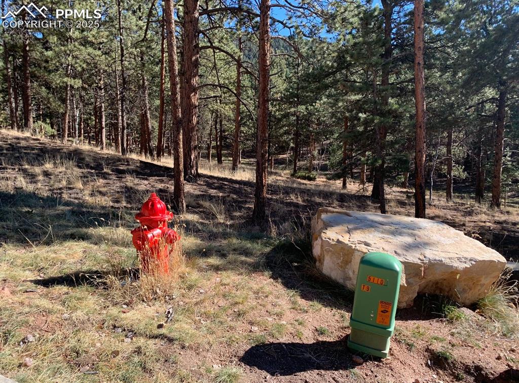 Image 20 of 36: Yard