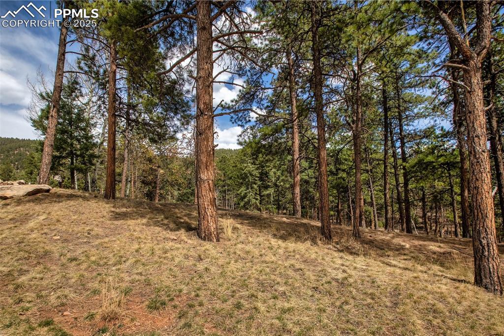 Image 21 of 36: Other