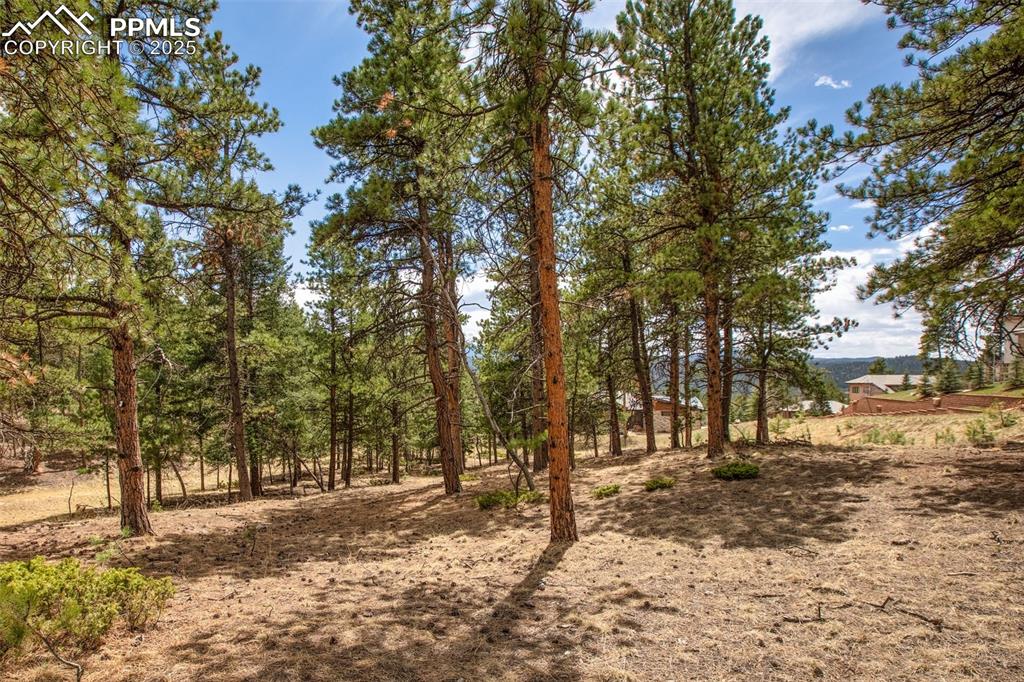 Image 22 of 36: Yard