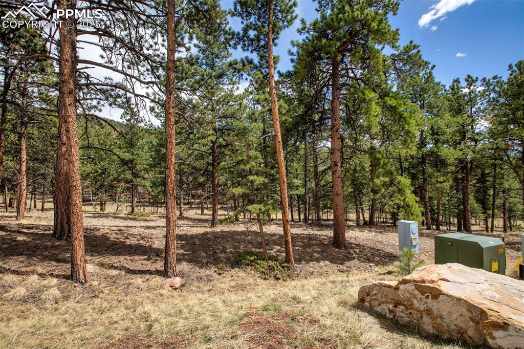 Image 23 of 36: Yard