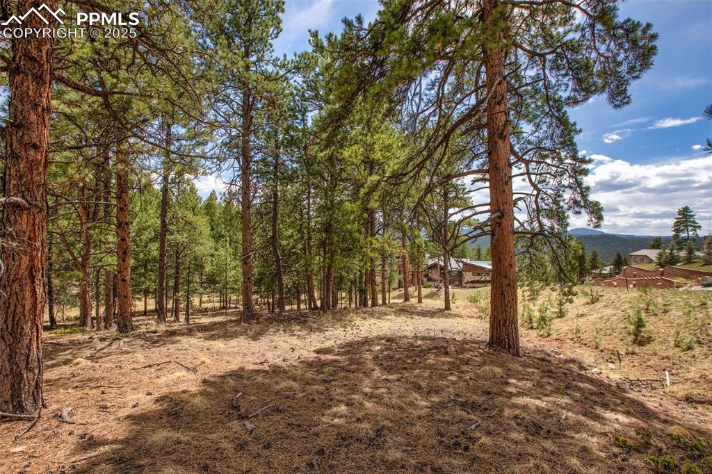 Image 24 of 36: Other