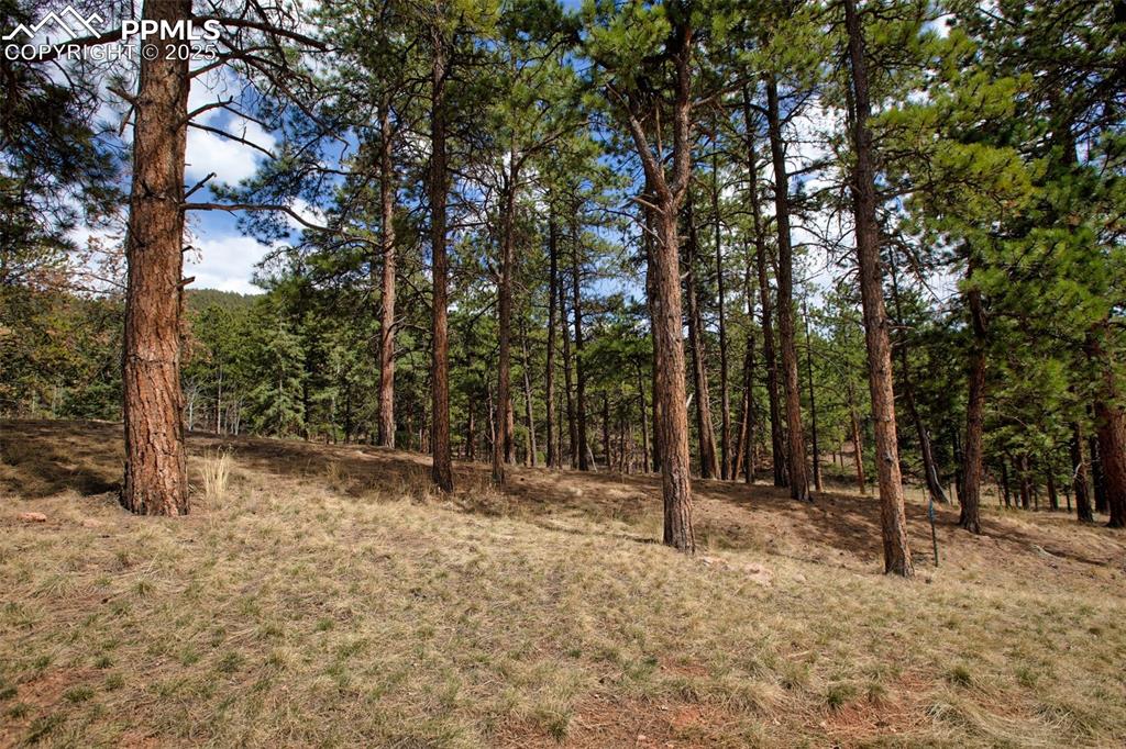 Image 25 of 36: Other