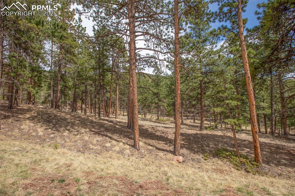 Image 27 of 36: Other