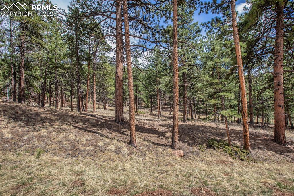 Image 28 of 36: Other