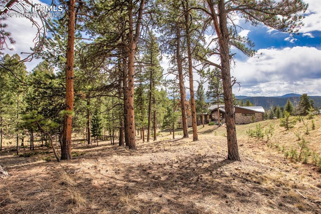 Image 29 of 36: Other