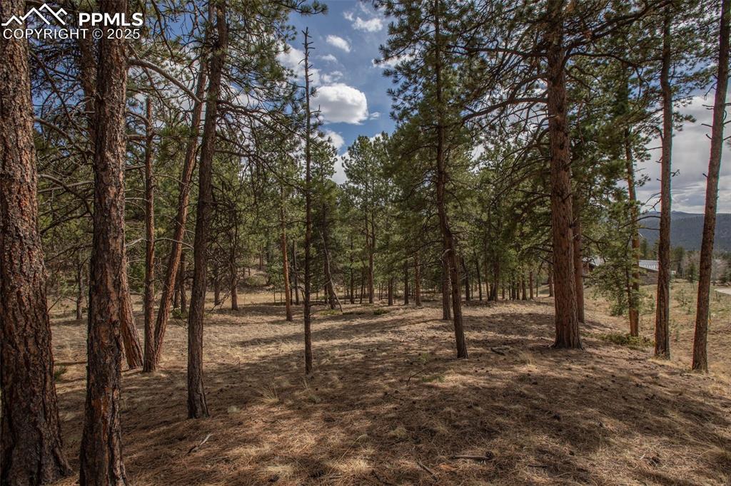 Image 30 of 36: Other