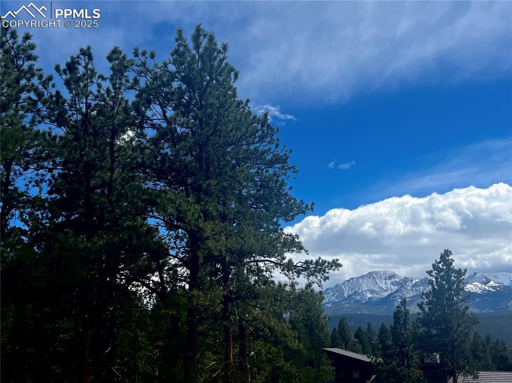 Image 36 of 36: View