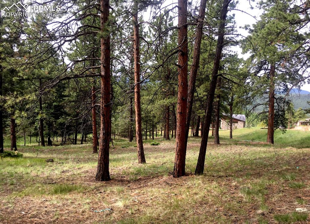 Image 6 of 36: Other