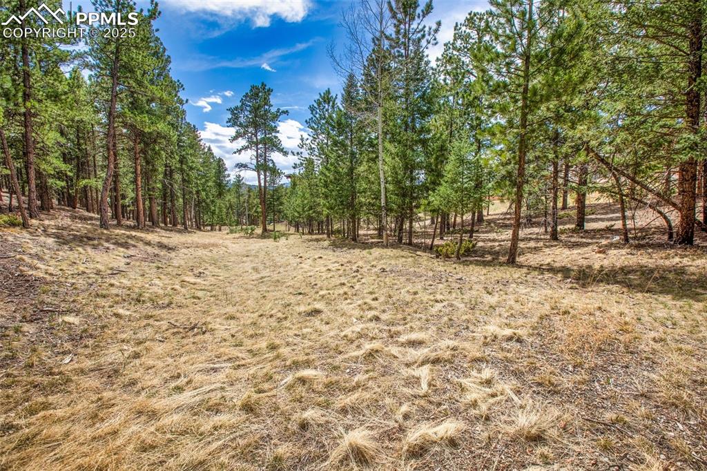 Image 7 of 36: Other