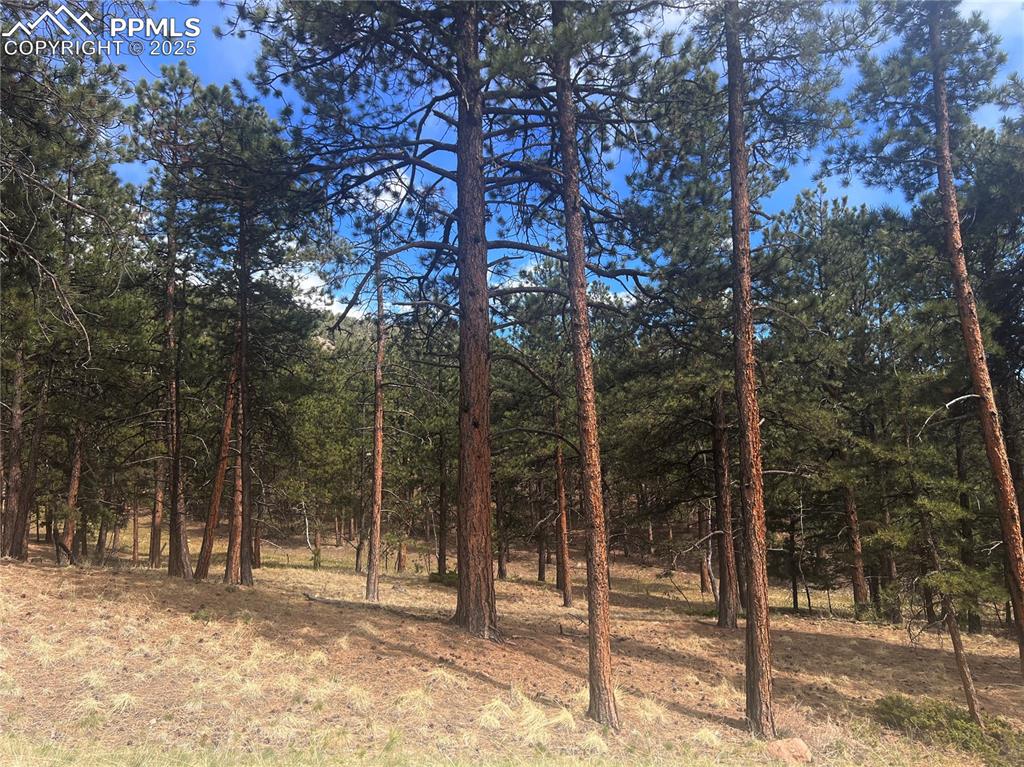 Image 8 of 36: Other